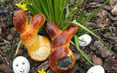 Brioches Lapinou 🐇 🐰