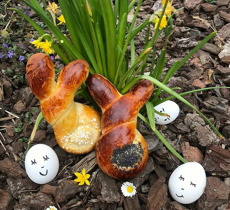 Brioches Lapinou 🐇 🐰